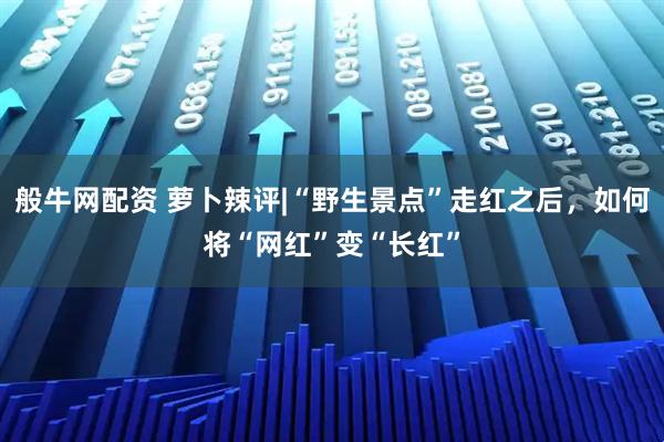般牛网配资 萝卜辣评|“野生景点”走红之后，如何将“网红”变“长红”